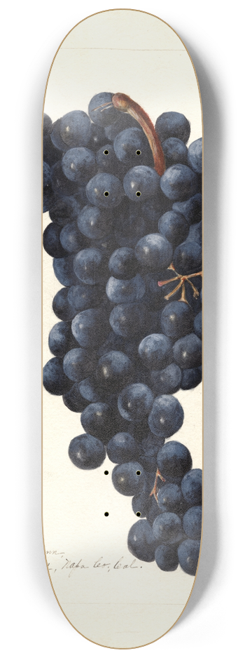 Bertha Heiges - Vitis: Petite Syrah 8.25 inch art skate deck