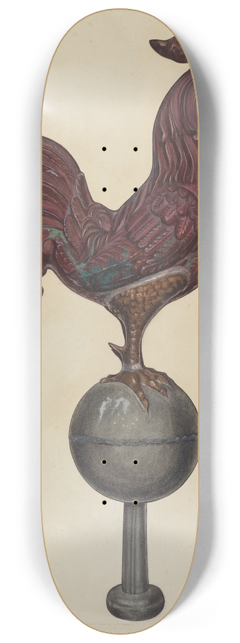 Beverly Chichester - Weather Vane 8.25 inch art skate deck