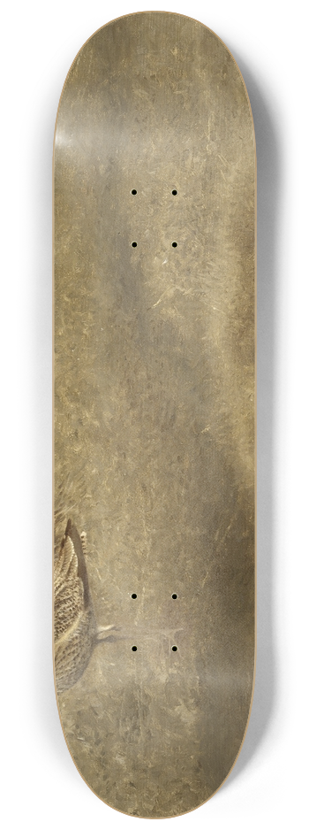Bruno Liljefors - Eurasian Curlew 8.25 inch art skate deck