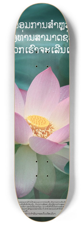Bureau of the Census - Laotian Awareness Poster 8.25 inch art skate deck