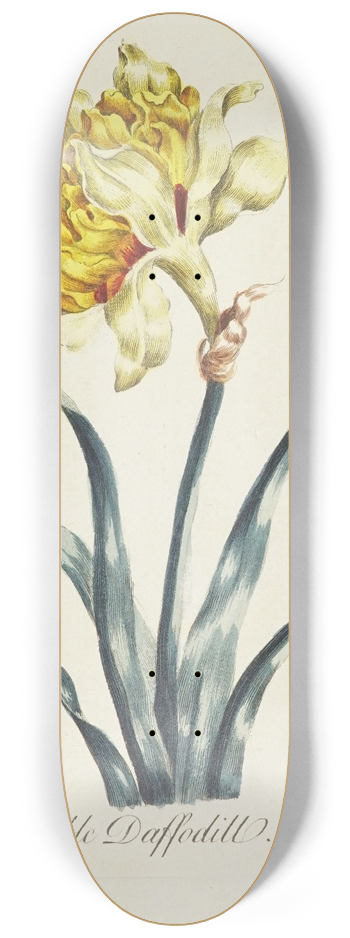 Carington Bowles - Double Daffodill 8.25 inch art skate deck