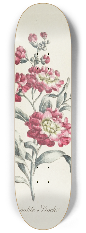Carington Bowles - Double Stock 8.25 inch art skate deck