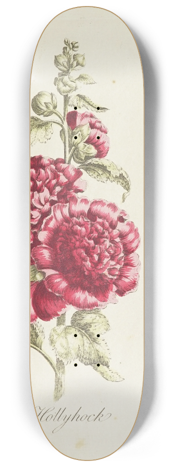 Carington Bowles - Hollyhock 8.25 inch art skate deck