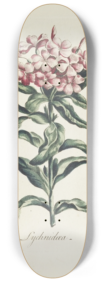 Carington Bowles - Lychnidea 8.25 inch art skate deck