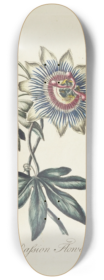 Carington Bowles - Passion flower 8.25 inch art skate deck