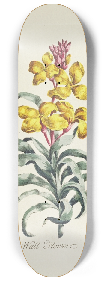 Carington Bowles - Wall Flower 8.25 inch art skate deck