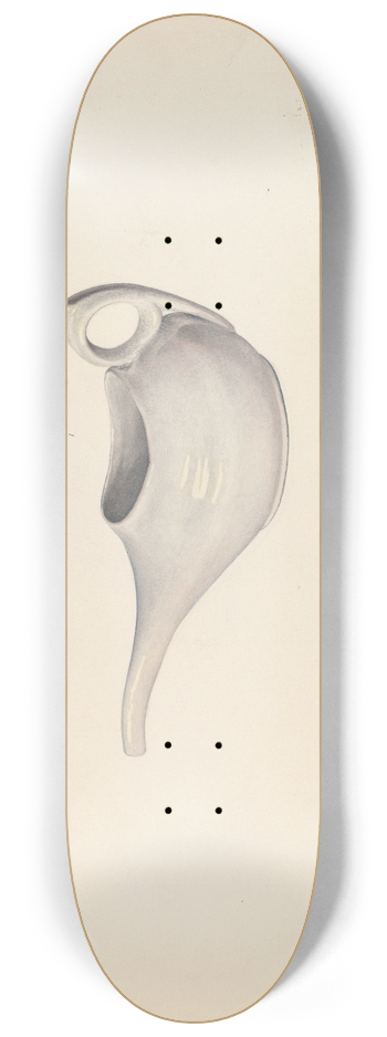 Carl Buergerniss - Invalids Feeding Cup 8.25 inch art skate deck