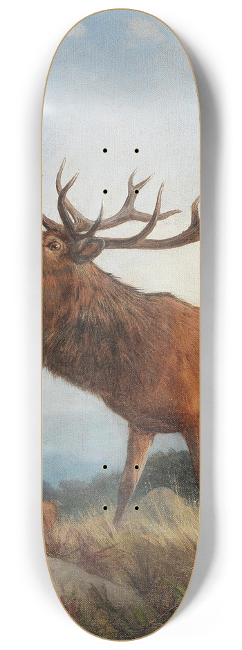 Carl Friedrich Deiker - A Bellowing Stag 8.25 inch art skate deck