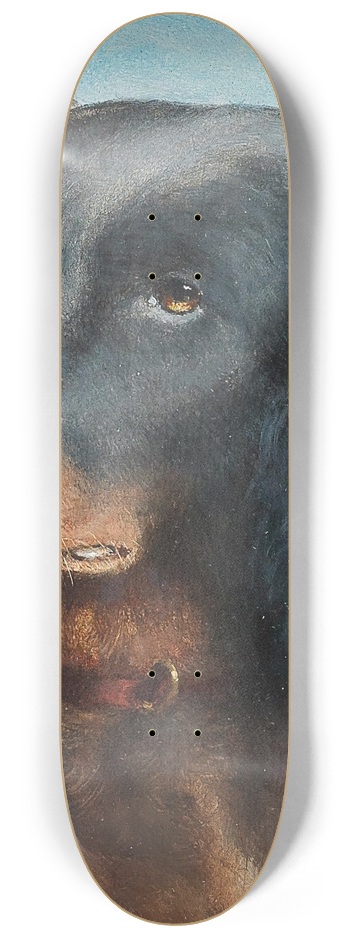 Carl Reichert - A Questioning Look 8.25 inch art skate deck