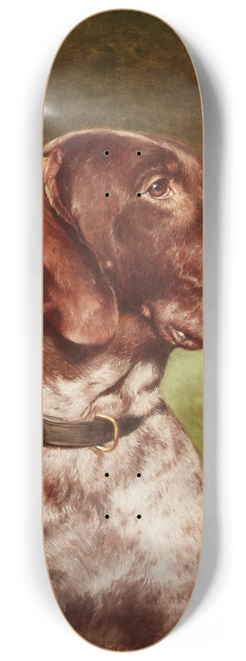 Carl Reichert - Head of a German Shorthaired Pointer 8.25 inch art skate deck