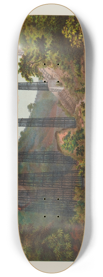 Casimiro Castro - Puente de Metlac, plate 13 8.25 inch art skate deck