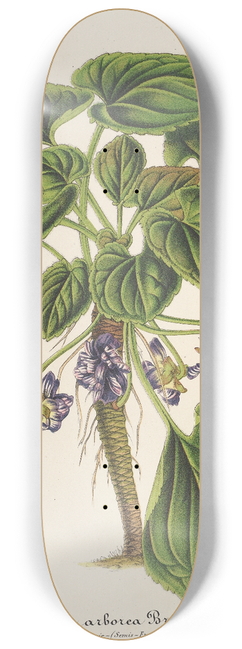Charles Antoine Lemaire - Viola arborea Brandyana 8.25 inch art skate deck