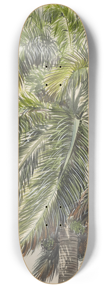 Charles de Wolf Brownell - Palma Real 8.25 inch art skate deck