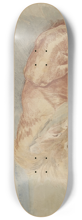 Charles Edm Saint-Marcel-Cabin - Slapende leeuw 8.25 inch art skate deck