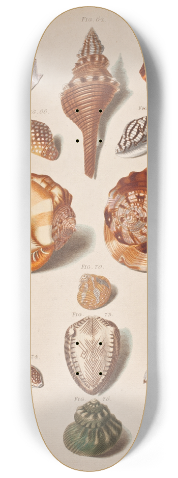 Franz Michael Regenfus - Illustrationsplanche Med Konkylier 8.25 inch art skate deck