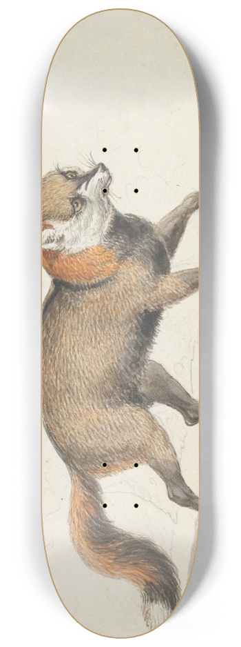 Charles Hamilton Smith - American Cross-Fox 8.25 inch art skate deck