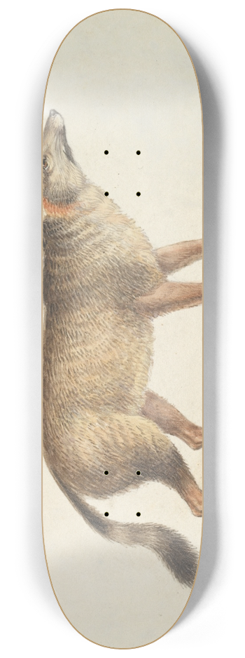 Charles Hamilton Smith - Dun-Footed Aguara-Dog 8.25 inch art skate deck