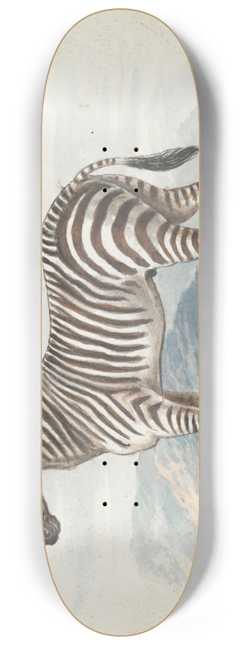 Charles Hamilton Smith - The Zebra 8.25 inch art skate deck