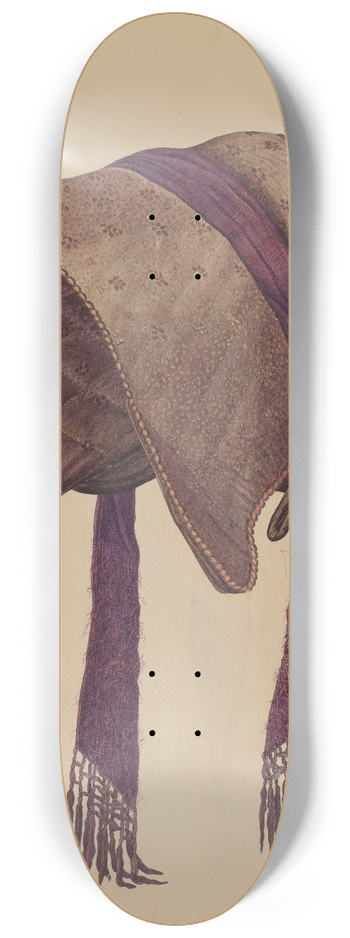 Charles Johnson - Coal Scuttle Bonnet 8.25 inch art skate deck