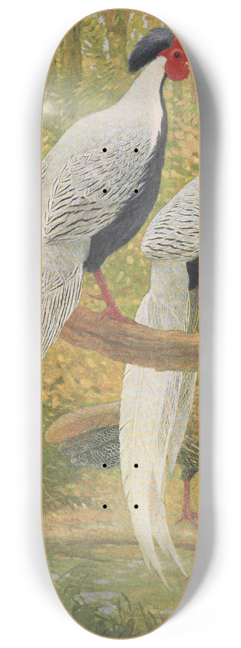 Charles Robert Knight - Chinese Silver Kaleege 8.25 inch art skate deck