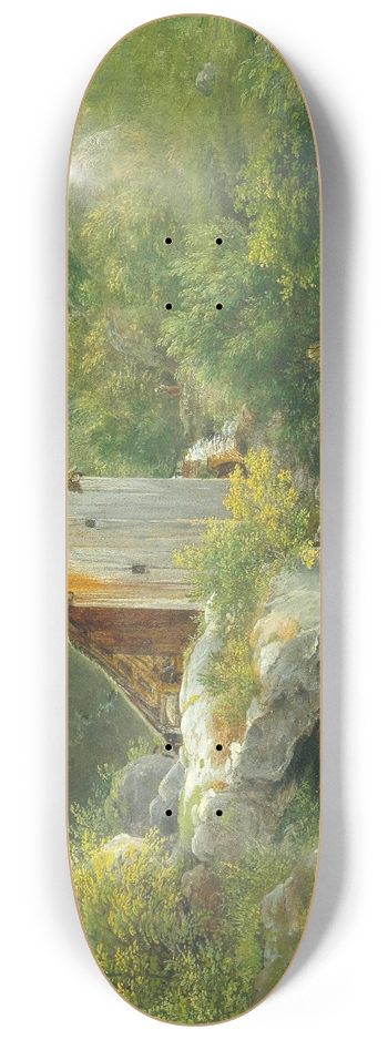 Franz Steinfeld - Gebirgsmhle 8.25 inch art skate deck