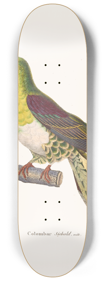 Coenraad Jacob Temminck - Colombar Siebold. 8.25 inch art skate deck
