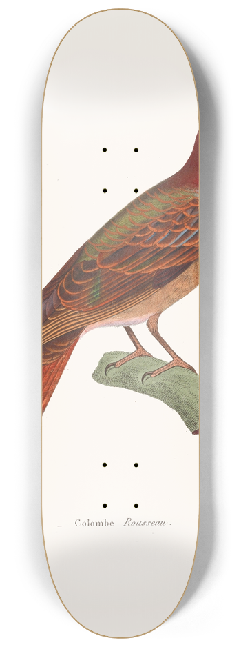Coenraad Jacob Temminck - Colombe Rousseau. 8.25 inch art skate deck
