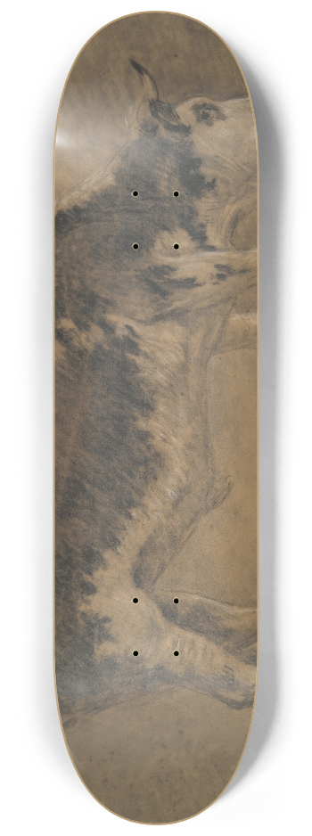 Constant Troyon - AmericanOx 8.25 inch art skate deck