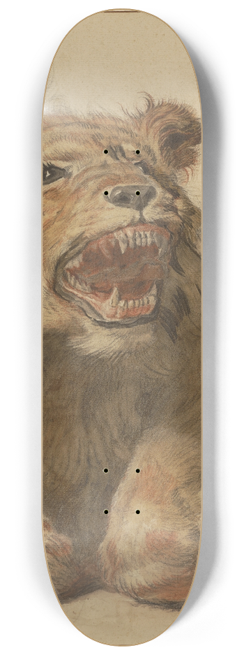 Cornelis Saftleven - A Lion Snarling 8.25 inch art skate deck