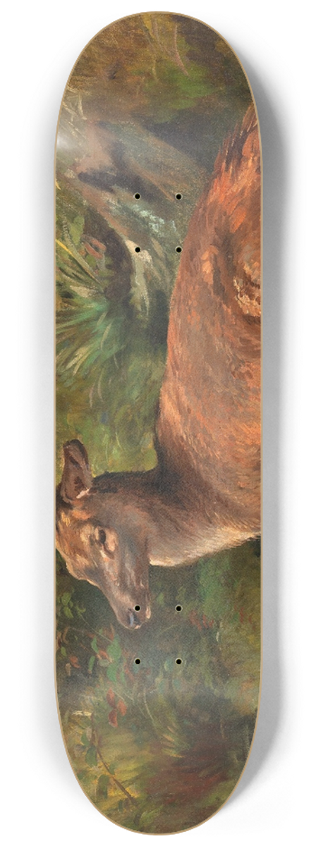 Franz Xaver von Pausinger - Resting Hind 8.25 inch art skate deck