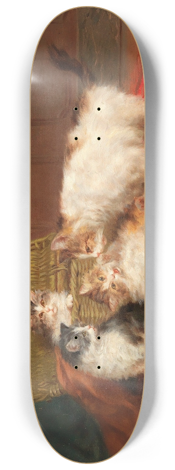 Daniel Merlin - Cats 8.25 inch art skate deck