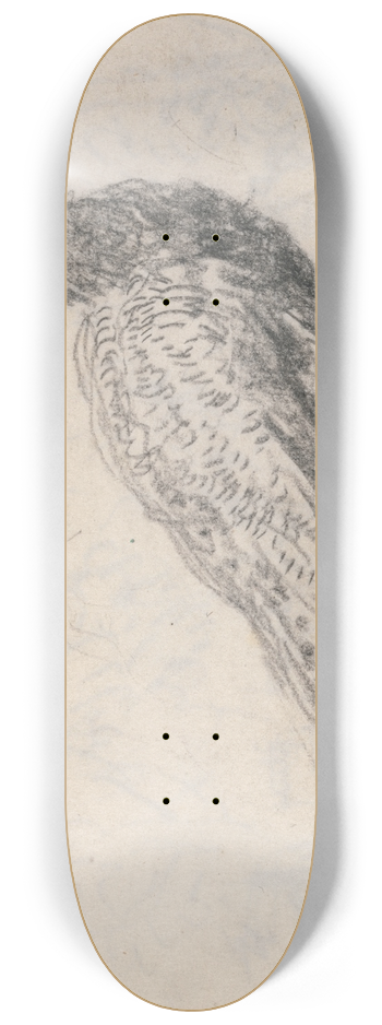 David Cox - Peacock at Capel Curig 8.25 inch art skate deck