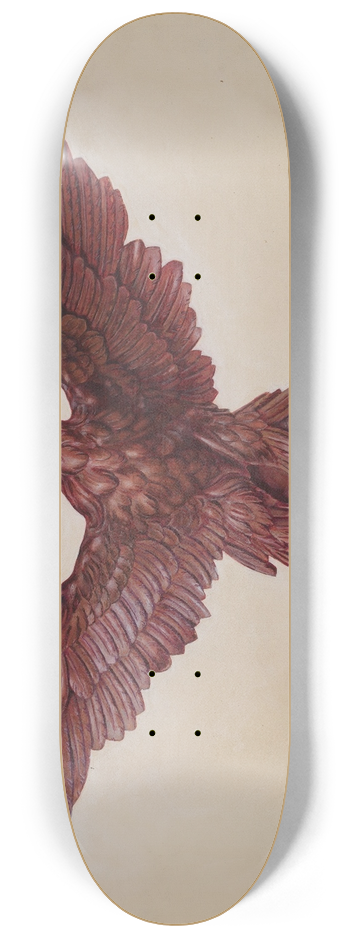 David Ramage - Eagle 8.25 inch art skate deck