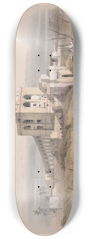 David Roberts - Cairo. 8.25 inch art skate deck