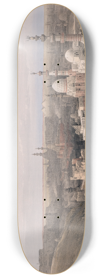 David Roberts - Cairo; looking west. 8.25 inch art skate deck