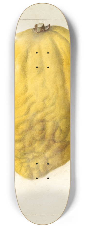 Deborah Griscom Passmore - Citrus medica 8.25 inch art skate deck