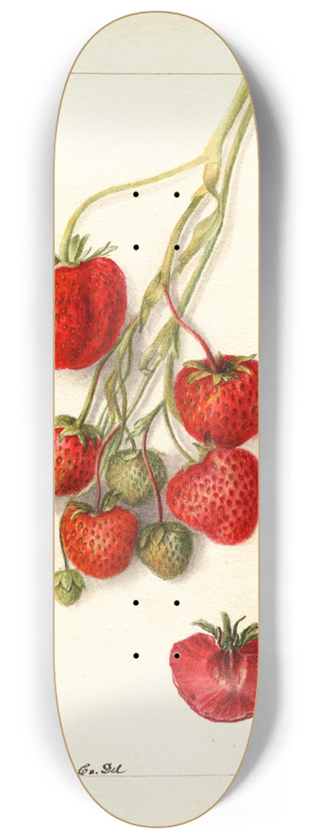 Deborah Griscom Passmore - Fragaria: Climan 8.25 inch art skate deck