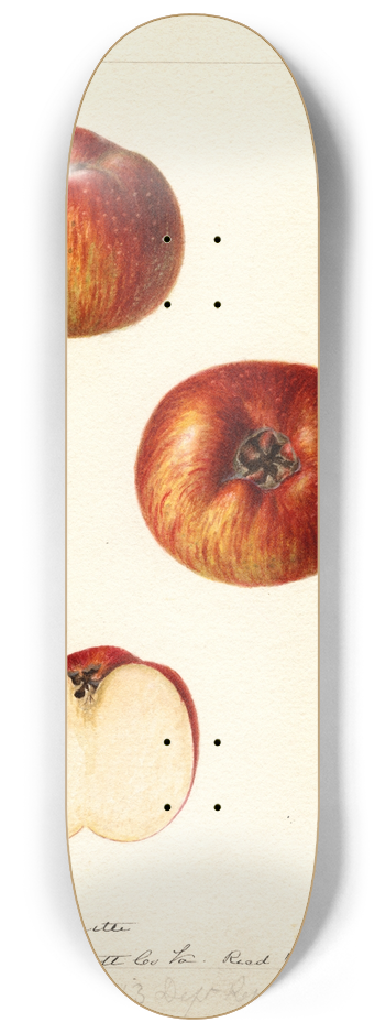 Deborah Griscom Passmore - Malus domestica: Bloomless 8.25 inch art skate deck