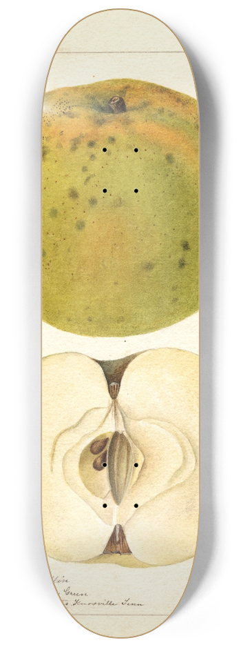 Deborah Griscom Passmore - Malus domestica: McMillin 8.25 inch art skate deck