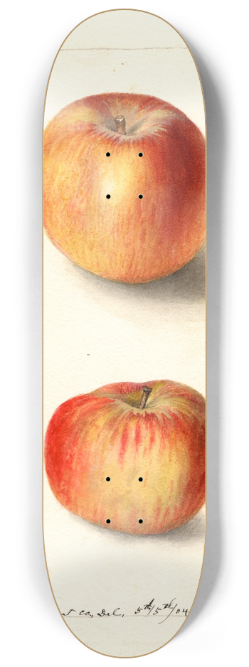 Deborah Griscom Passmore - Malus domestica: Winesap 8.25 inch art skate deck
