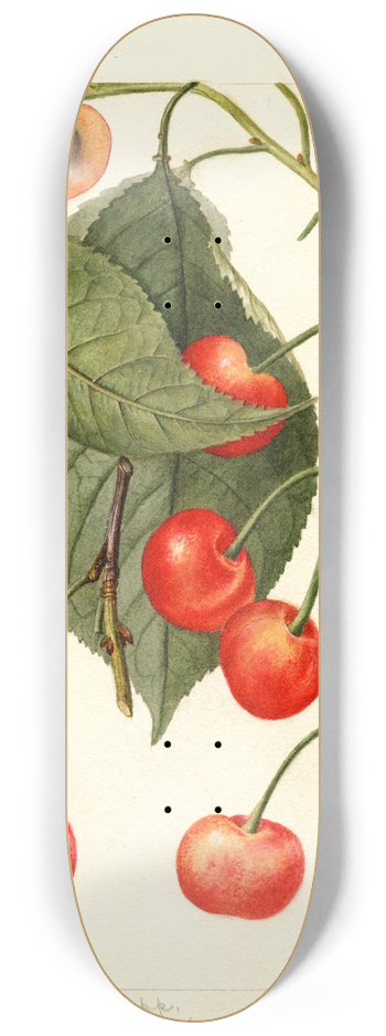 Deborah Griscom Passmore - Prunus avium: Rupp 8.25 inch art skate deck
