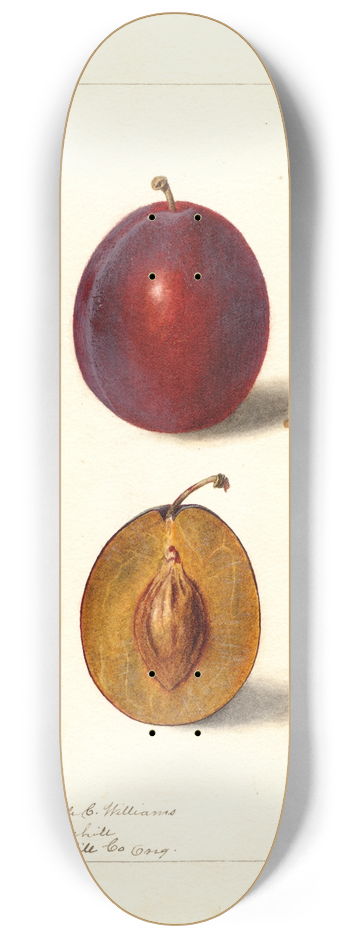 Deborah Griscom Passmore - Prunus domestica: Yamhill 8.25 inch art skate deck