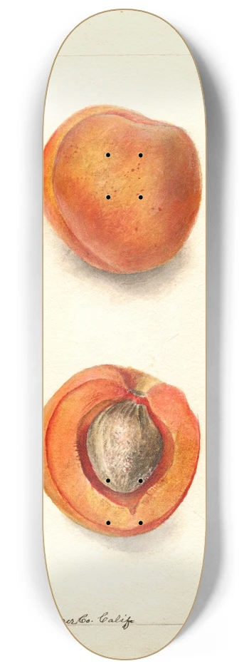 Deborah Griscom Passmore - Prunus mume: Blenheim 8.25 inch art skate deck