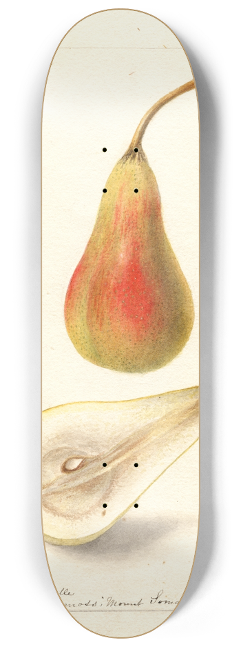 Deborah Griscom Passmore - Pyrus communis: French Jargonelle 8.25 inch art skate deck