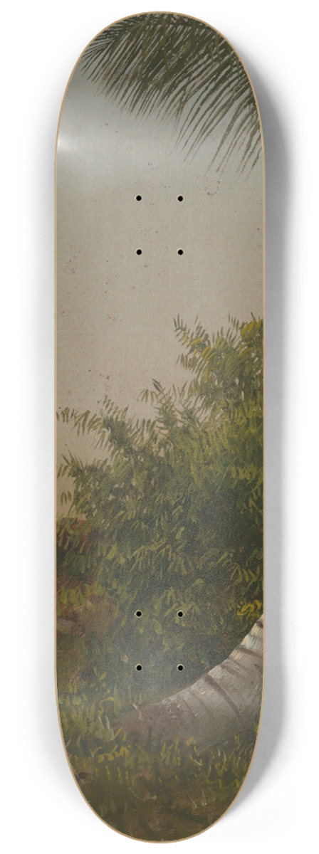 Frederic Edwin Church - Trees in Jamaica, West Indies 8.25 inch art skate deck