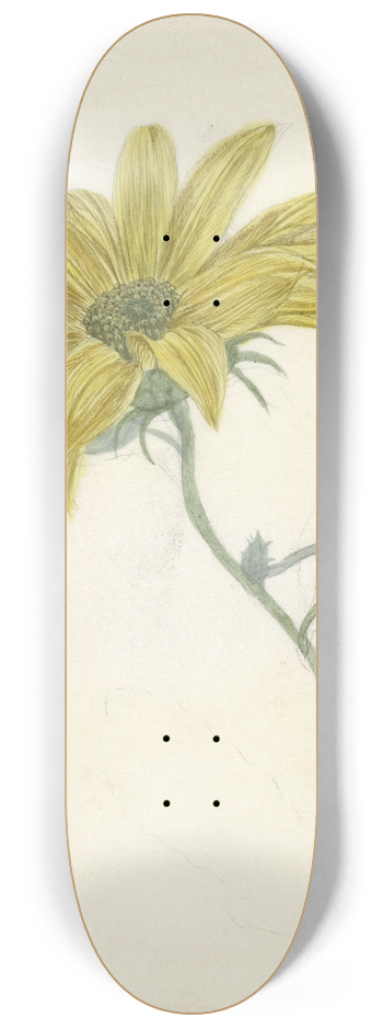 D. van Alphen - Zonnebloem 8.25 inch art skate deck