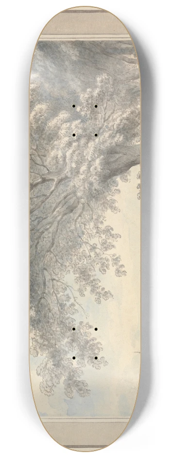 Edward Edwards - Barn Elmes 8.25 inch art skate deck