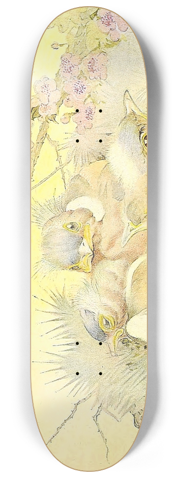 Edward Julius Detmold - The Chaffinch 8.25 inch art skate deck