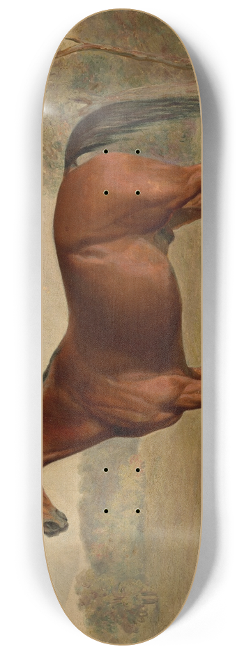 Edward Troye - Kentucky Woodpecker 8.25 inch art skate deck