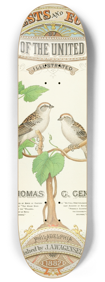 Edwin L. Sheppard - Frontispiece 8.25 inch art skate deck